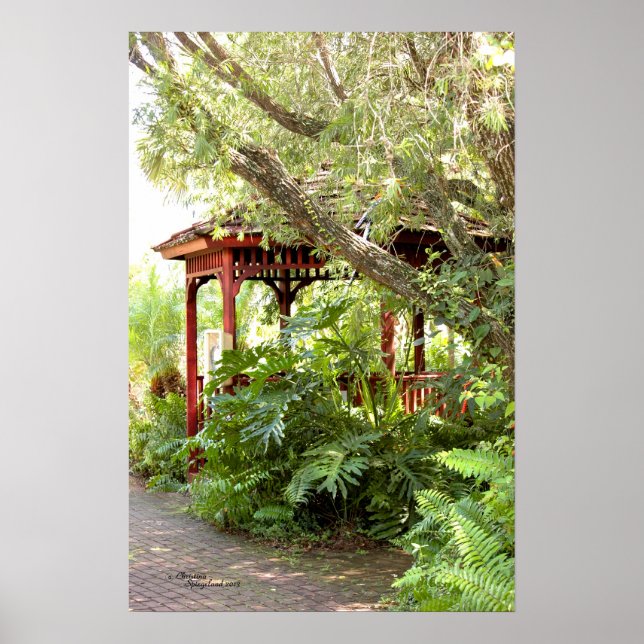 Gazebo Bois Poster de la forêt plante tropicale (Devant)