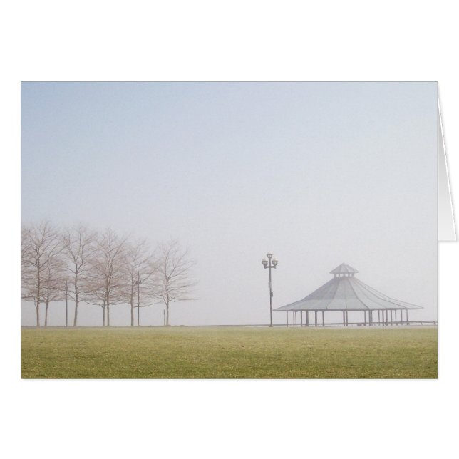 Gazebo en une journée hivernale agitée (Devant horizontal)