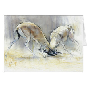 Gazelles de sable 2009 4