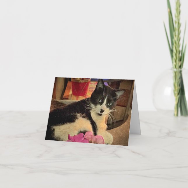 Gazer Lazily (une carte blanche) (Devant)