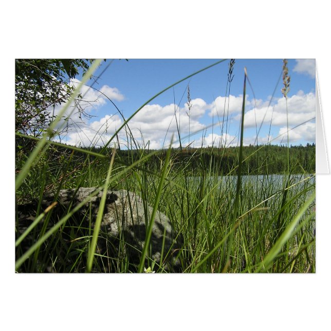 Gazon (Devant horizontal)