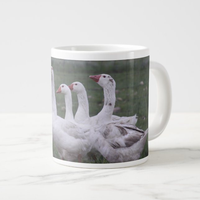Géante Tasse de Canard (Devant droit)