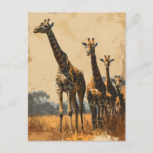 Géants gracieux : Carte postale Giraffes Vintages (Devant)