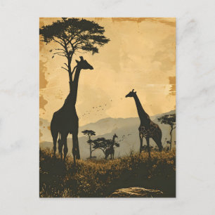 Géants gracieux : Carte postale Giraffes Vintages