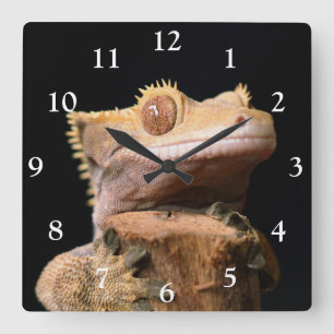 Gecko en crête sur Black Large Horloge