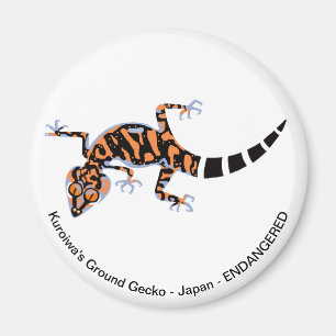 Gecko - magnet