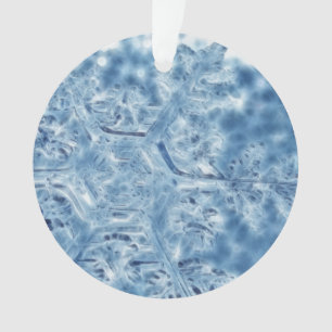 Gelée Cristal de glace Flocon de neige fractal