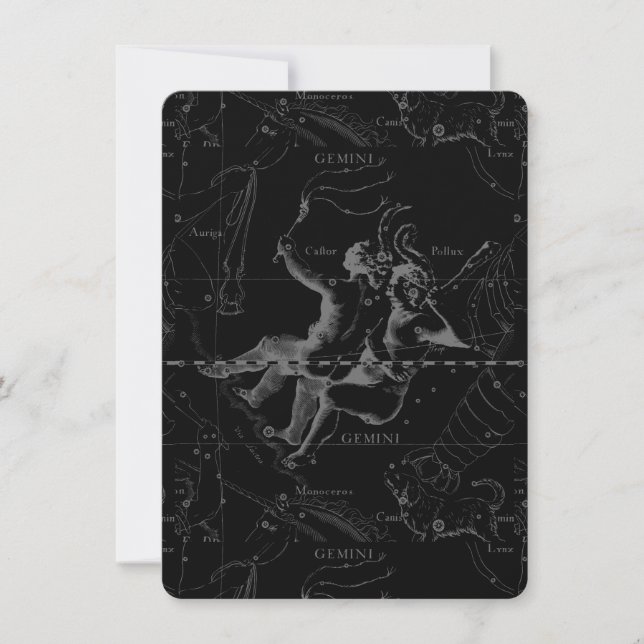 Gemini Constellation Map Engraving par Hevelius (Devant)