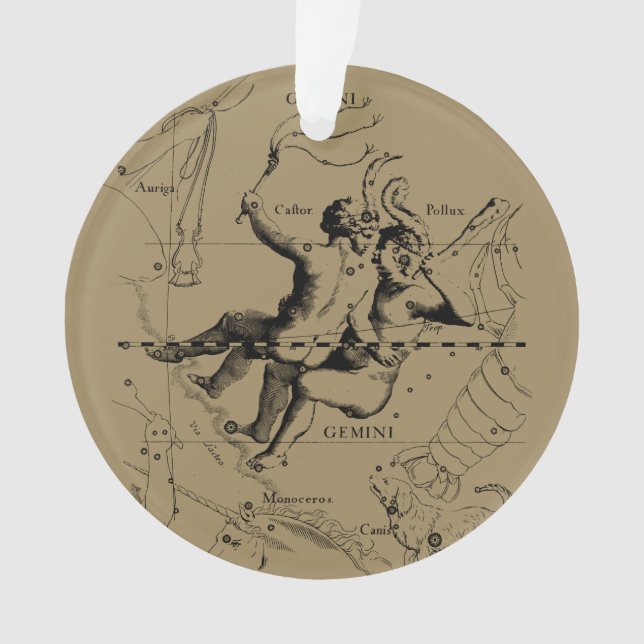 Gemini Constellation Zodiac Hevelius circa 1690 (devant)