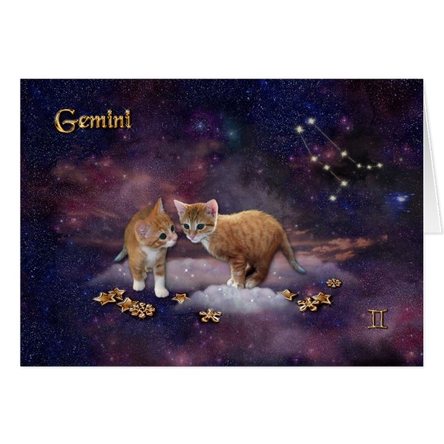 Gemini for Cat Lovers (Devant horizontal)