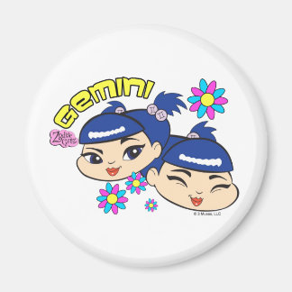 Gemini Magnet