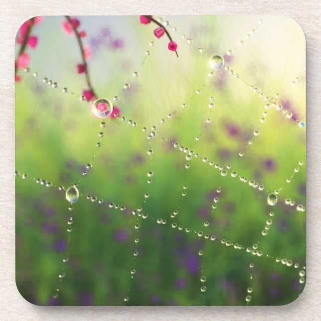 Gemmes d'un Dessous de verre de liège du matin de  (Devant)