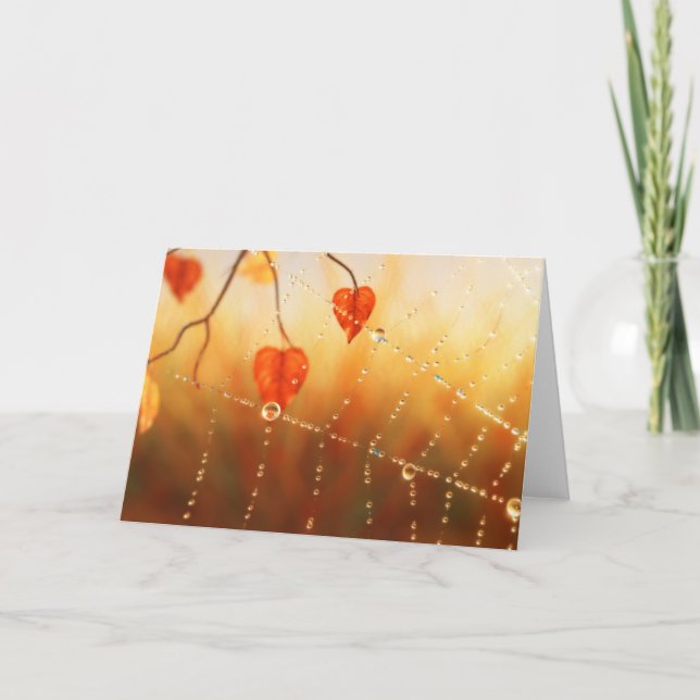 Gemmes d'une carte du matin d'automne (Devant)