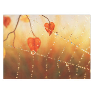 Gemmes d'une nappe d'automne du matin