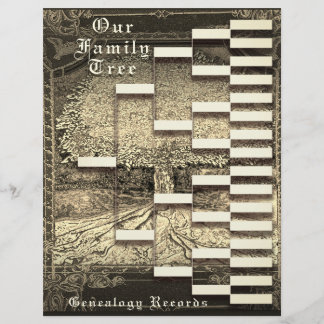 Généalogie Pedigree