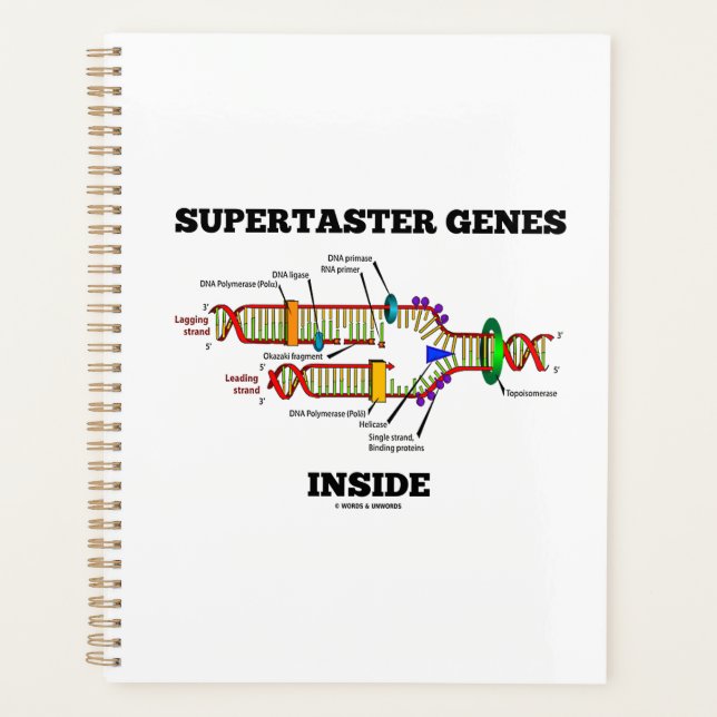 Gènes supertaster dans l'Humour de réplication de  (Devant)