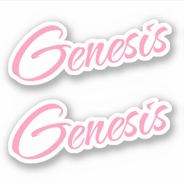 Genèse Nom décoratif en rose x2 Sticker (Devant)
