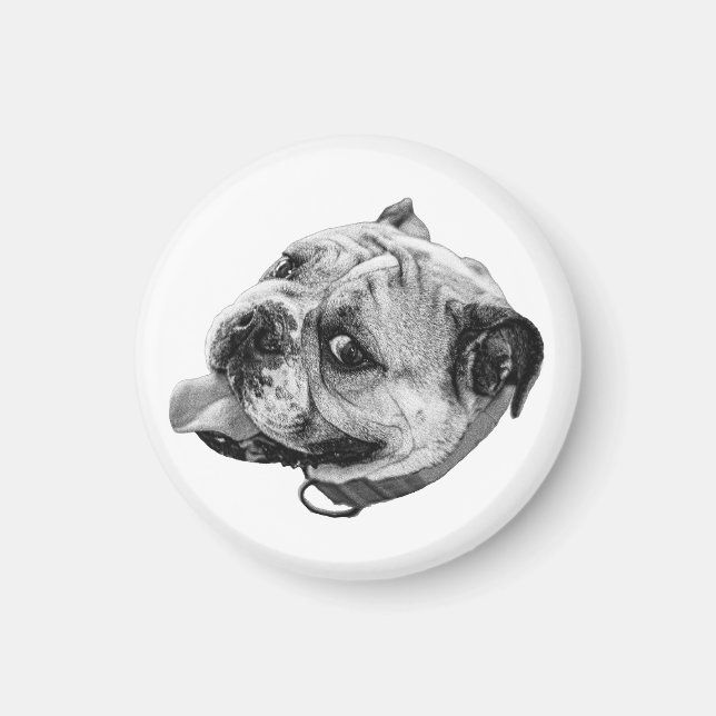 Gentle Bulldog Magnet (Devant)