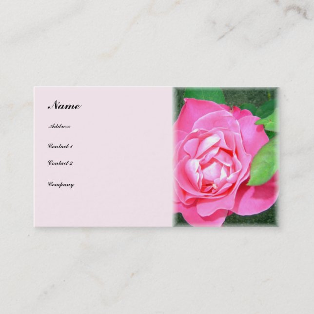 Gentle Rose - carte de visite (Devant)