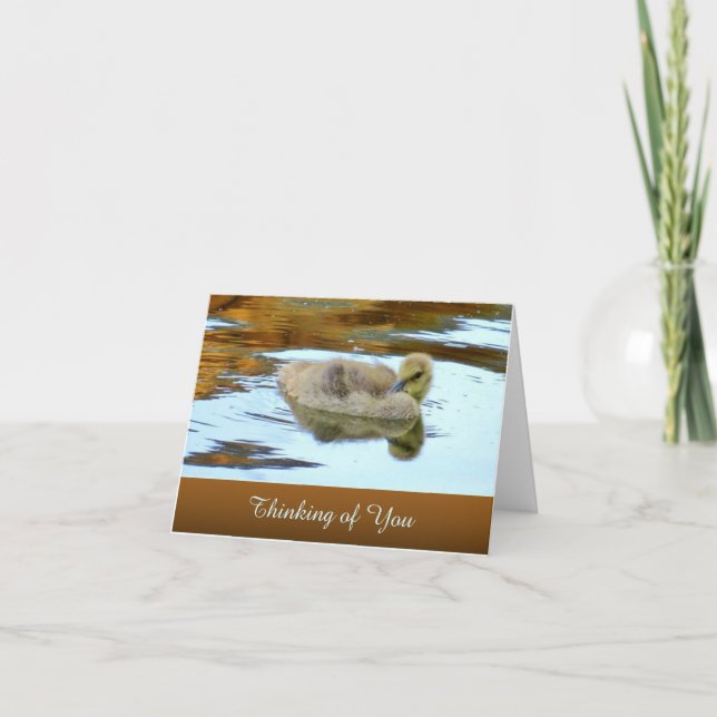 Gently Gosling - Penser à vous - Carte blanche (Devant)