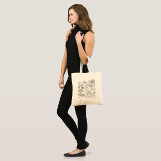 Géologie structurale Sac fourre-tout
