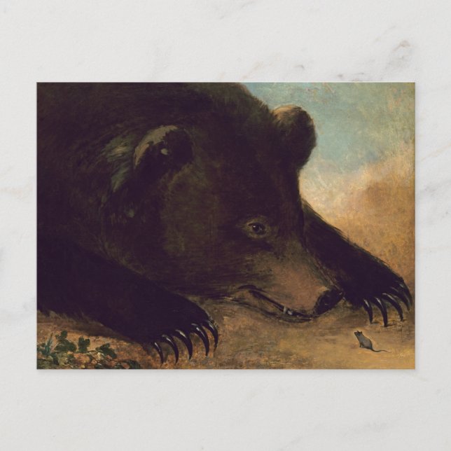 George Catlin - Grizzly Bear et carte postale (Devant)