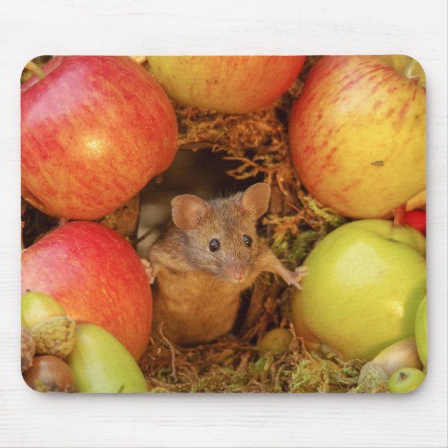 George le tapis de souris (Devant)