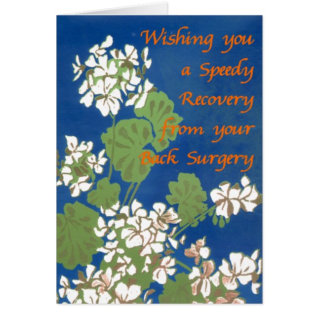 Geraniums blancs sur le bleu obtenir bien retour C (Devant)