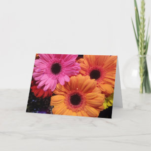 Gerber Daisies Jeux de cartes orange rose