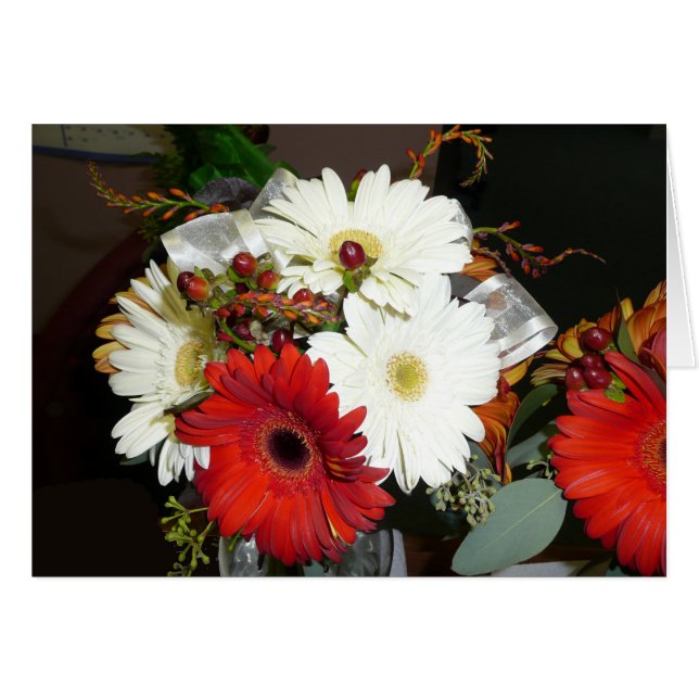 Gerber Daisy (Devant horizontal)