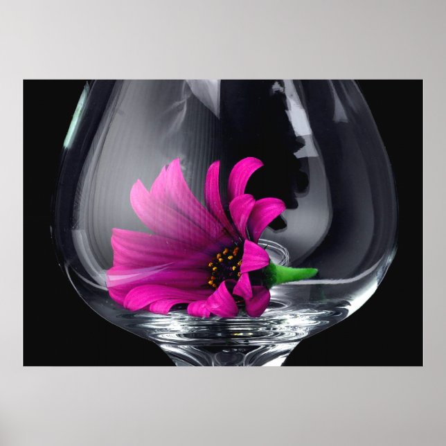 Gerber Daisy en Verre Vin POSTER ou CARD (Devant)