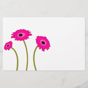 Gerber Daisy framboise