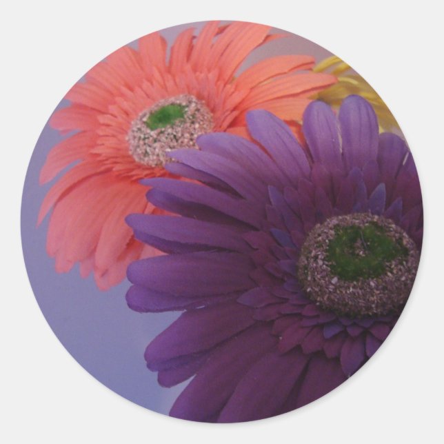 Gerbera Daisies - Stickers (Devant)