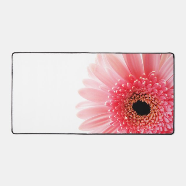 Gerbera Daisy (Recto)