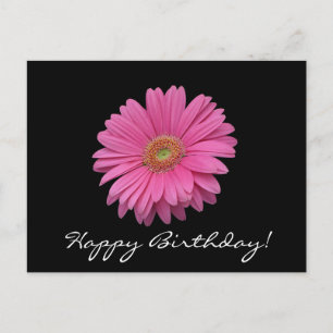 Gerbera Daisy Bonne carte postale d'anniversaire