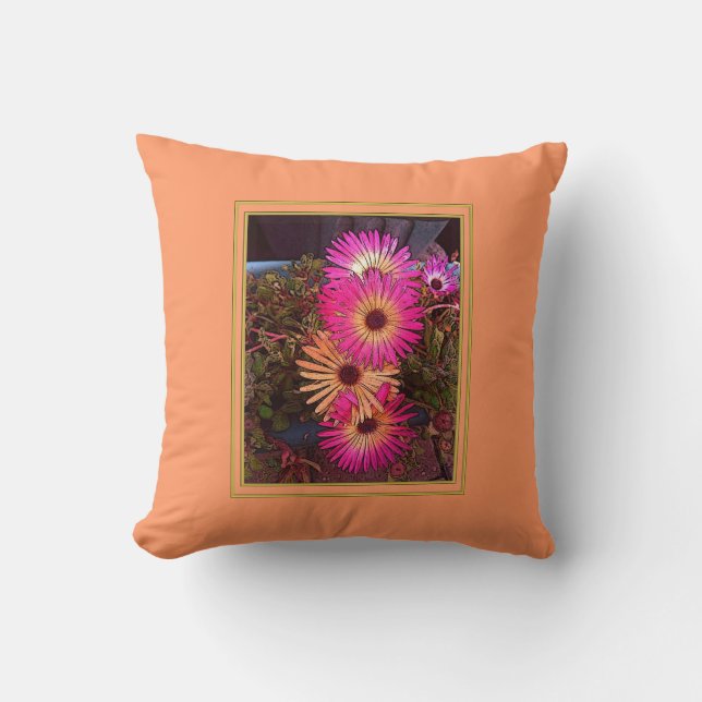 Gerbera Daisy Coussins américains MoJo (Recto)