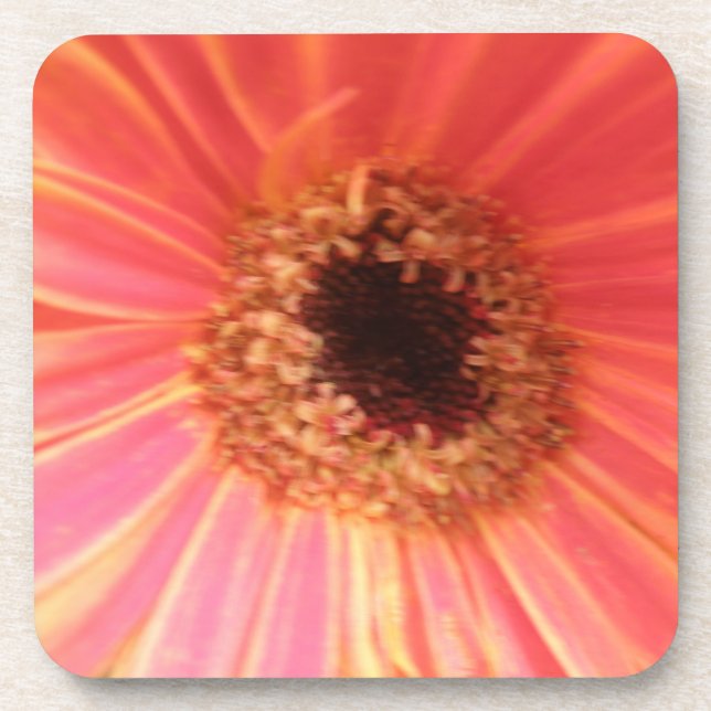 Gerbera Daisy Flower Cork Dessous de verre (Devant)