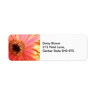 Gerbera Daisy Flower Étiquettes de adresse