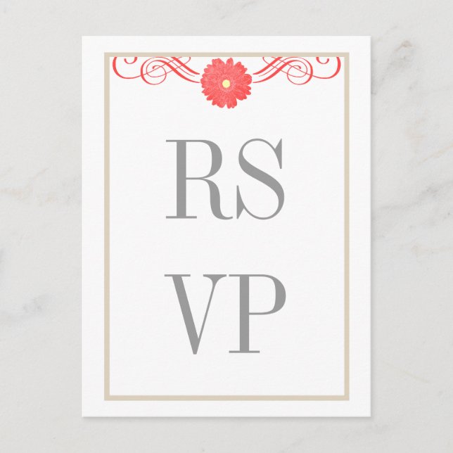 Gerbera Daisy Swirls Réponse Carte Postale (Devant)