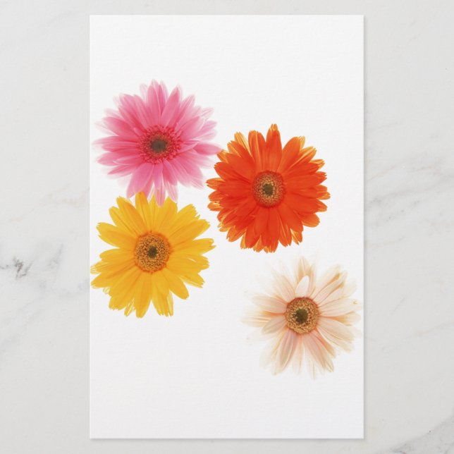 Gerbera Fleurs Imprimer Fleur Flottante Faisy Fais (Devant)