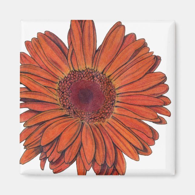 Gerbera Magnet (Devant)