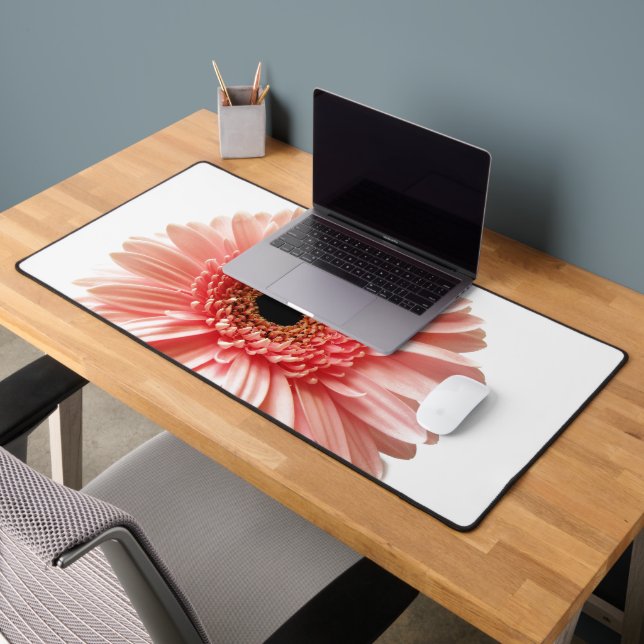 Gerbera marguerite (Bureau 2)