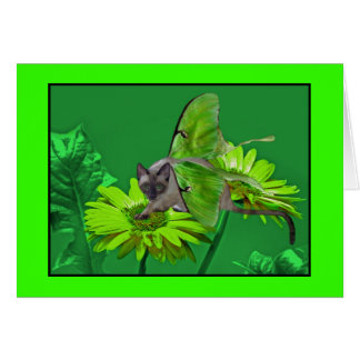 Gerbera vert vibrant de chat de Luna