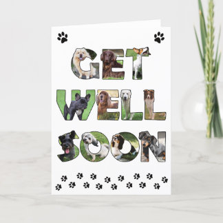Get Well Soon carte de chien - peinture à l'huile