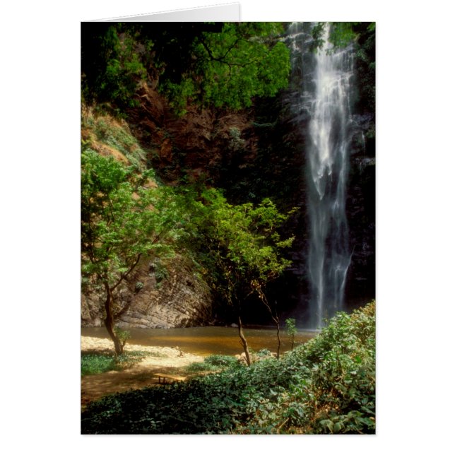 Ghana : chutes de Wli, également appelées chutes d (Devant)