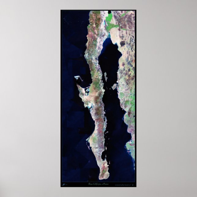 Giant 41"x96" Baja California satellite poster (Devant)