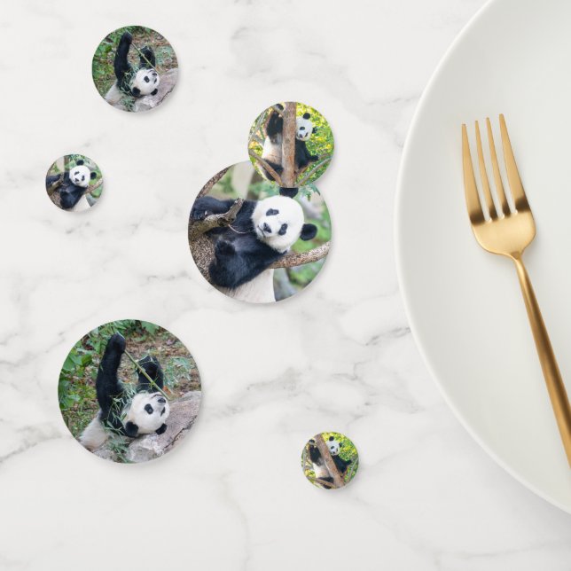 Giant Panda Pics Confetti (Groupe)