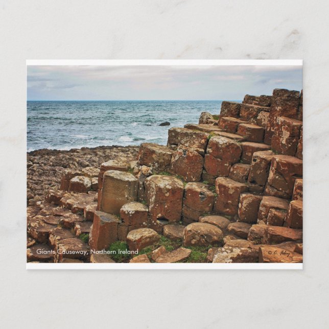 Giants Causeway, Irlande, Carte postale (Devant)