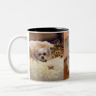 Gilbert Mug