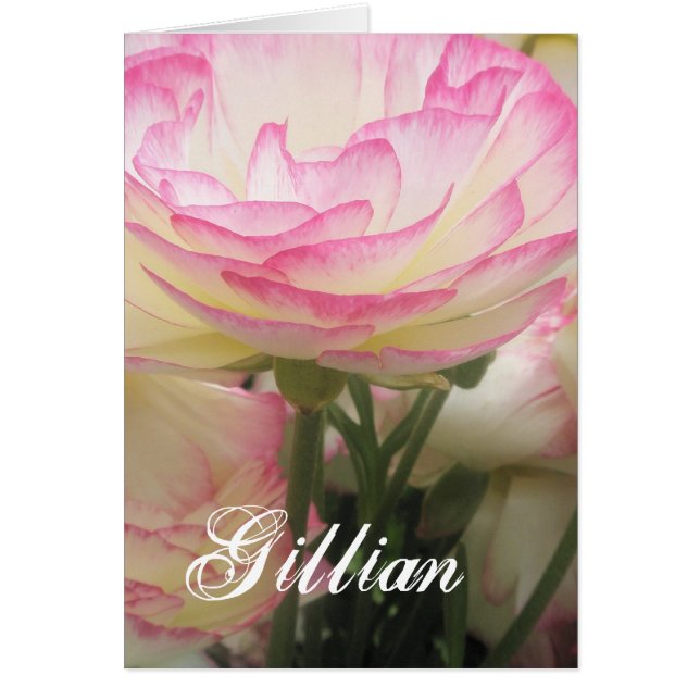 Gillian (Devant)